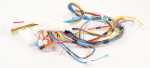Bosch Siemens Harness - 12029100 Cable Harness