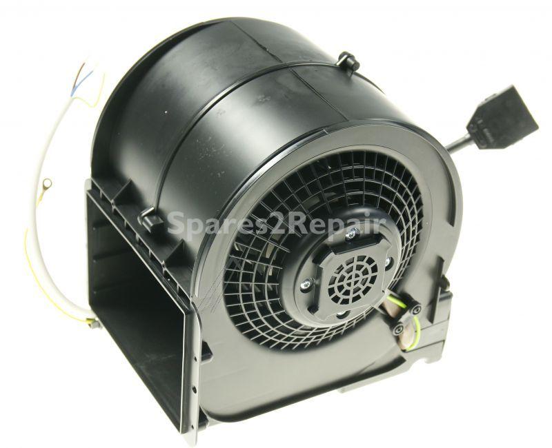 Airforce Hood Motors - Motor